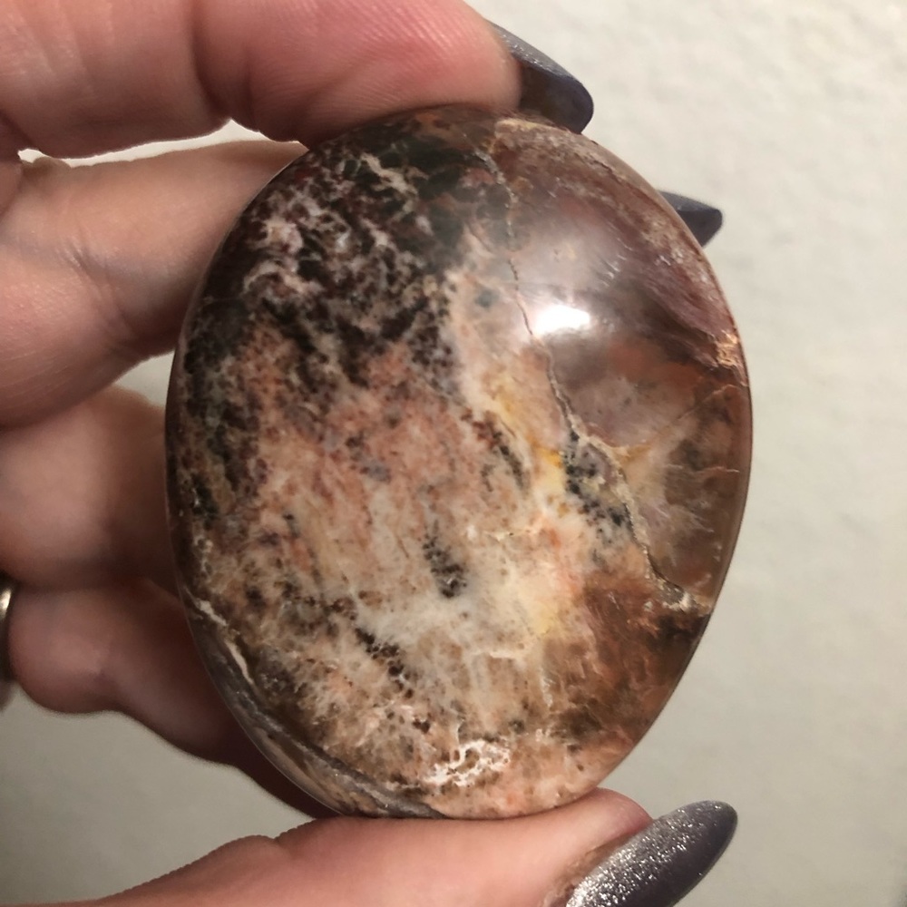Wood Fossil Palm Stone - Approx: 2”